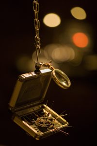 photo exposition art robotique numérique